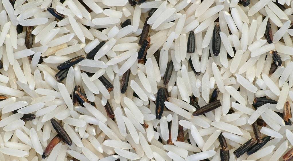 Comment choisir les meilleurs aliments pour une énergie durable 